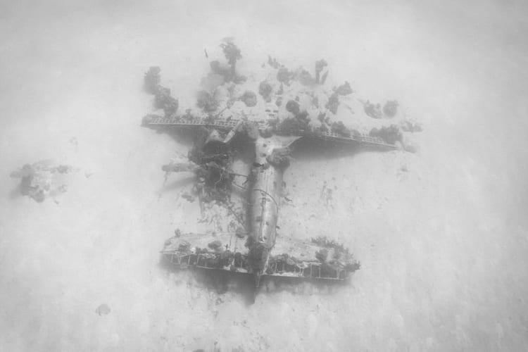 Brandi Mueller Underwater Planes Photography
