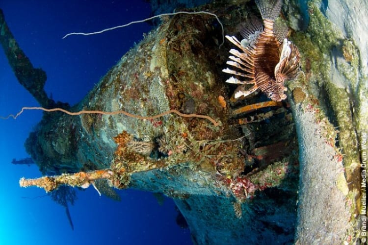 Brandi Mueller Underwater Planes Photography