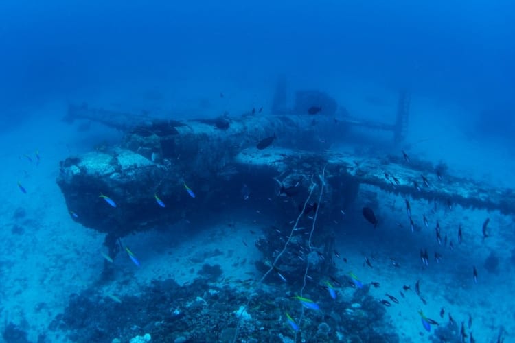 Diver Discovers Lost Underwater Airplane Graveyard