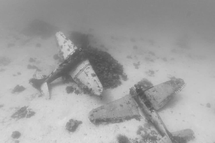 Brandi Mueller Underwater Planes Photography