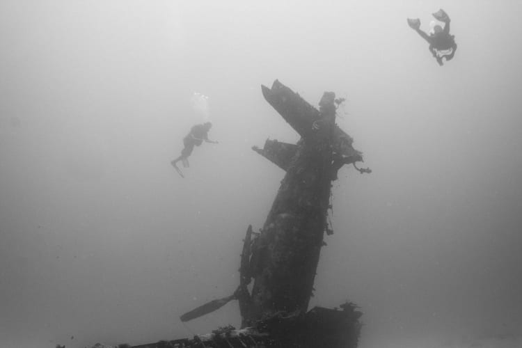Brandi Mueller Underwater Planes Photography