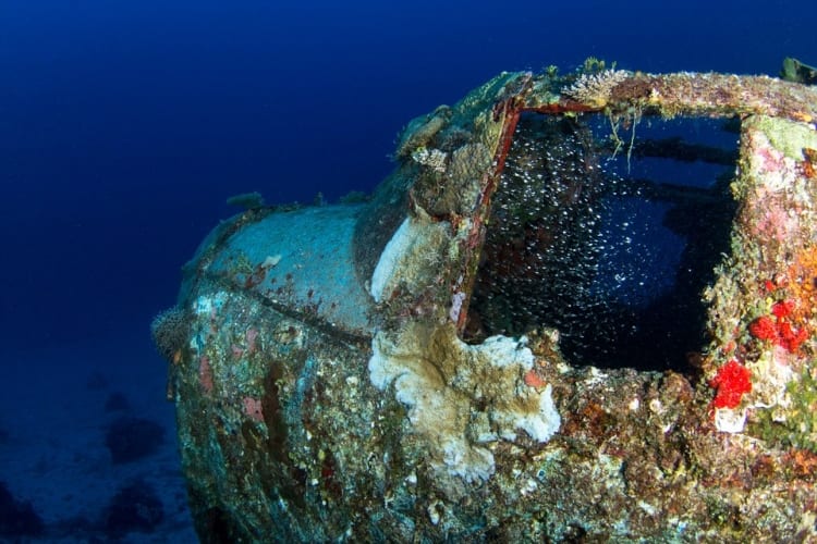 Diver Discovers Lost Underwater Airplane Graveyard