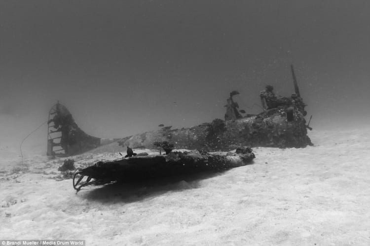 Brandi Mueller Underwater Planes Photography