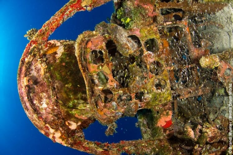 Diver Discovers Lost Underwater Airplane Graveyard