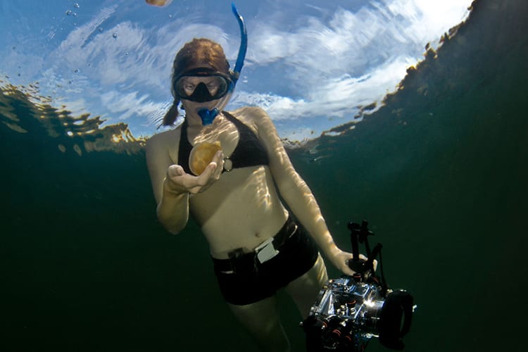 Brandi Mueller Underwater Planes Photography