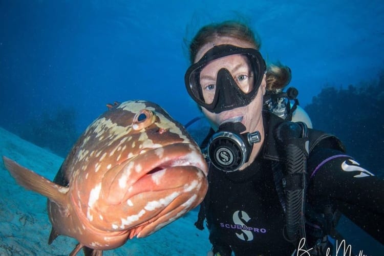 Diver Discovers Lost Underwater Airplane Graveyard
